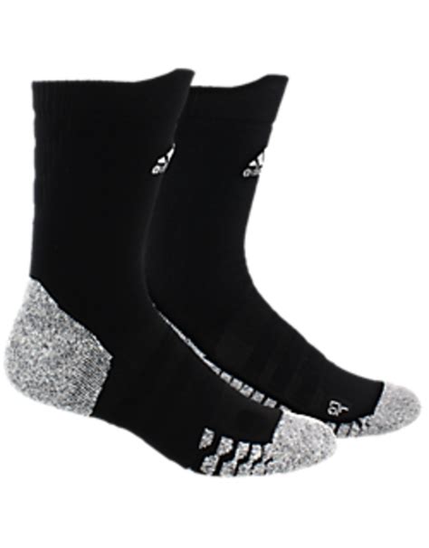 alphaskin traxion socks